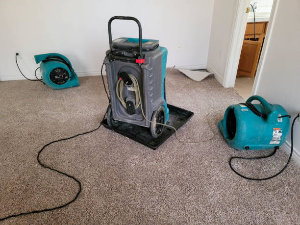 Best Flooded house restoration  in Spout Springs, NC