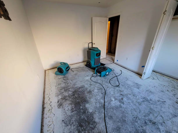 Best 24-hour water damage restoration  in Spout Springs, NC