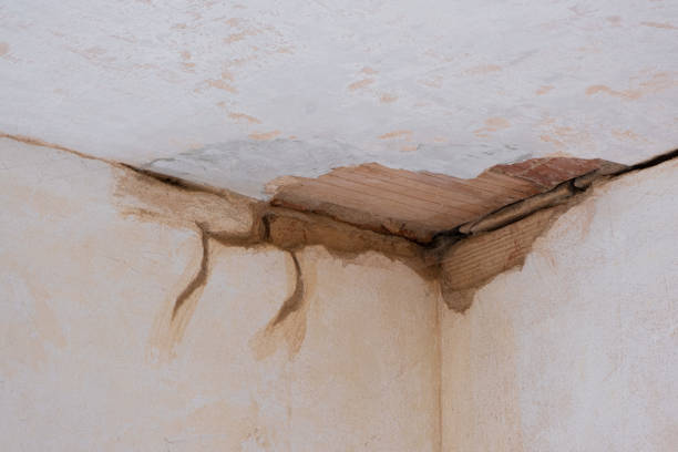 Best Mold removal after water damage  in Spout Springs, NC
