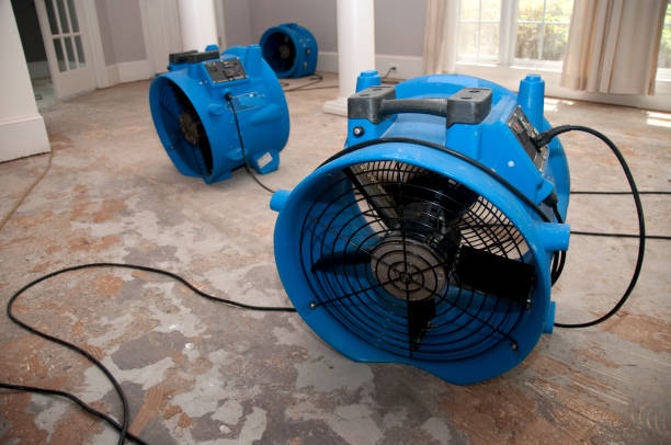 Best Local water damage restoration  in Spout Springs, NC