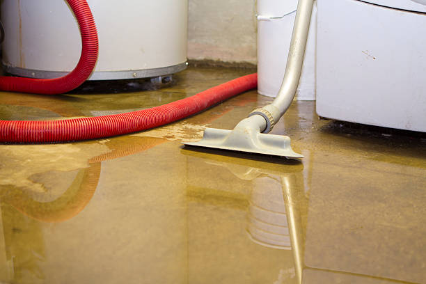 Carpet water damage restoration in NC
