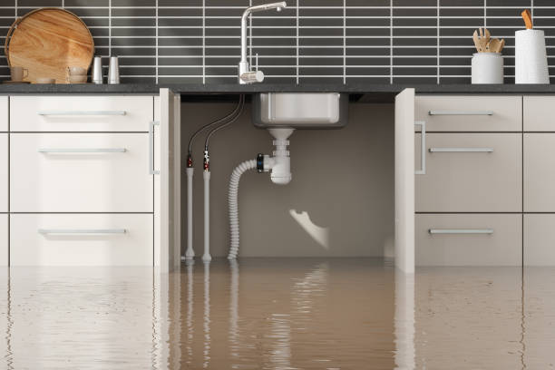Best Basement water damage restoration  in Spout Springs, NC