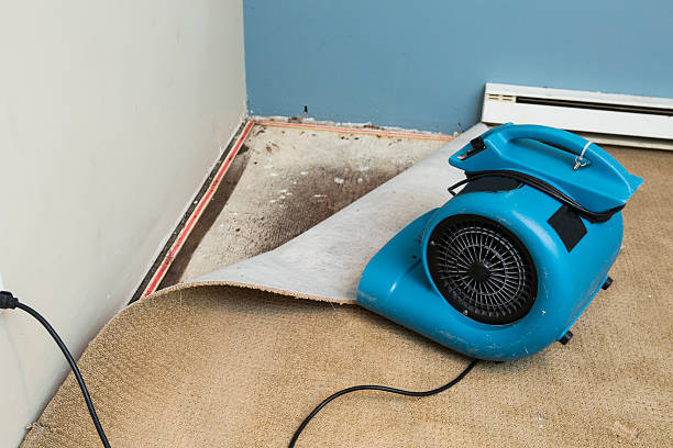 Best Carpet water damage restoration  in Spout Springs, NC